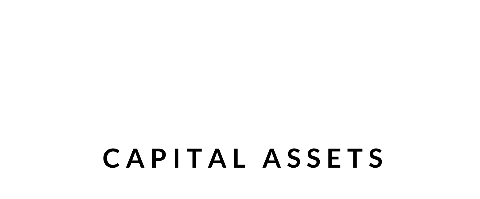 Balkan Capital Assets LLC